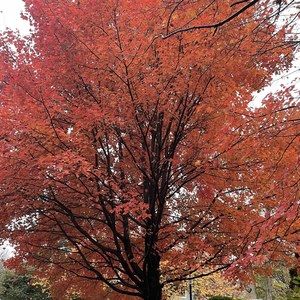 Meet your Posher, Meg